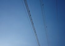 Cable Rows: Grip Variations and Their Effects