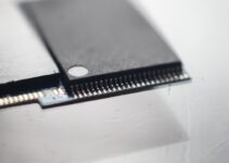 Pet Microchipping: Why It’s Essential for Safety