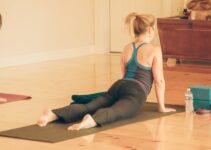 Machine vs Free Weight Back Exercises: Complete Comparison
