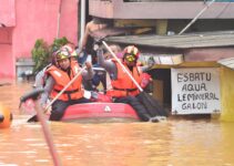 Emergency Evacuation Plan: Preparing Pets for Disasters