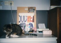 Pet Medication Administration: Pills and Liquid Techniques Pet Medication Administration: Pills and Liquid Techniques