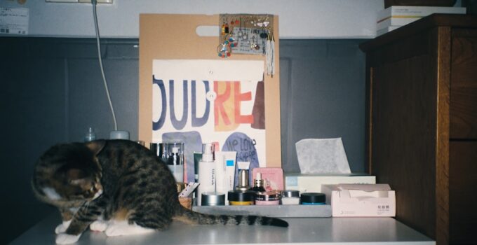 Photo Pet Medication Administration