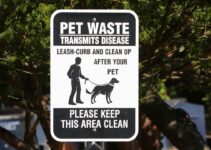 Dog Park Etiquette: Safety Rules for Social Play Dog Park Etiquette: Safety Rules for Social Play