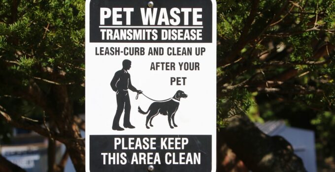 Photo Dog Park Etiquette
