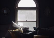 Creating the Perfect Indoor Environment for Your Cat Creating the Perfect Indoor Environment for Your Cat