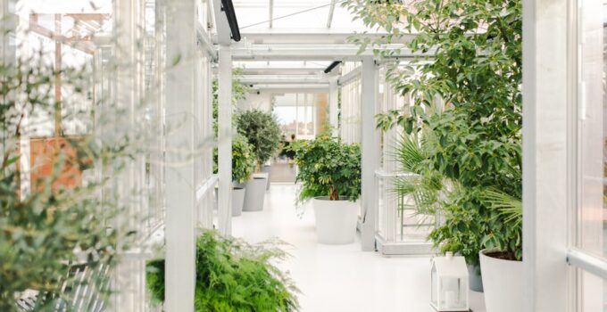 Photo Pet-Proofing Garden