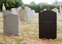 Pet Bereavement: Helping Other Pets Cope with Loss
