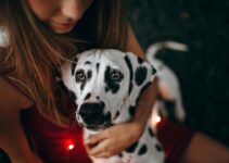 How to Use AI to Detect Pet Illness Early