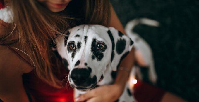 Photo AI, Detect, Pet Illness, Early