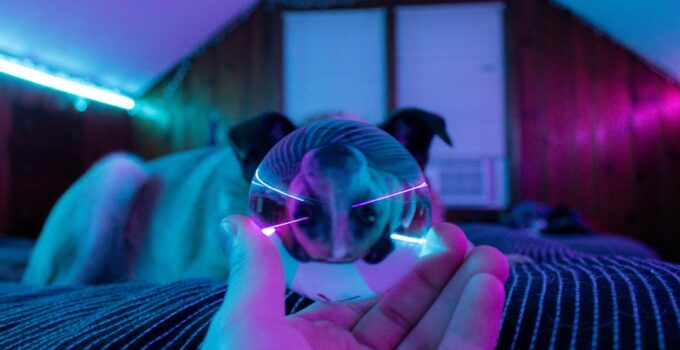 Photo AI, Detect, Pet, Illness, Early