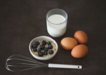 How to Improve Pet Nutrition with AI Meal Planners How to Improve Pet Nutrition with AI Meal Planners