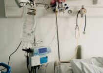 Pet Euthanasia: Making Difficult End-of-Life Decisions Pet Euthanasia: Making Difficult End-of-Life Decisions