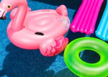 How to Introduce AI Toys for Pet Enrichment How to Introduce AI Toys for Pet Enrichment