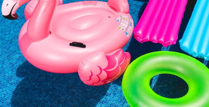 Photo AI Toys for Pet Enrichment