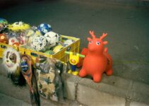 How to Introduce AI Toys for Pet Enrichment How to Introduce AI Toys for Pet Enrichment