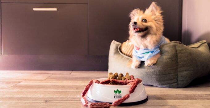 Photo AI, custom diet plans, pets