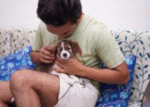 How to Reduce Pet Anxiety with Smart Gadgets