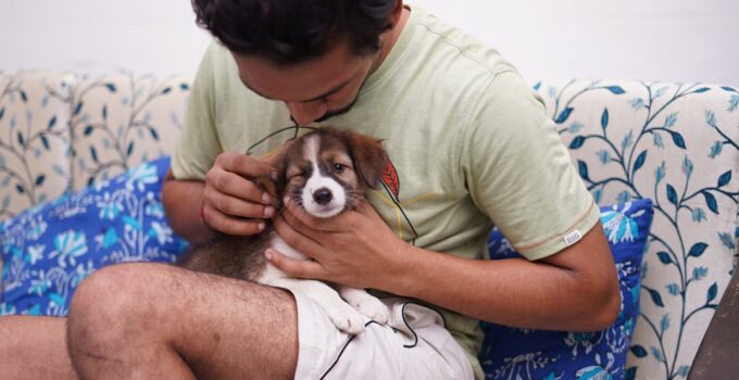 Photo Reduce Pet Anxiety