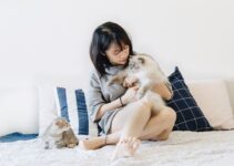 How to Reduce Pet Anxiety with Smart Gadgets How to Reduce Pet Anxiety with Smart Gadgets