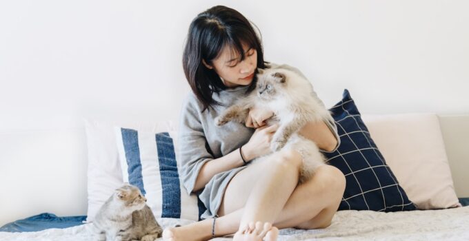 Photo Reduce Pet Anxiety
