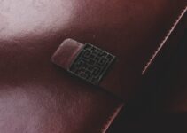 How to Use AI to Track Pet Microchip Data