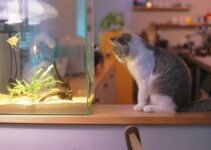 How to Introduce New Pets with AI Behavioral Tips