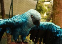 How to Use AI to Train Birds and Exotic Pets How to Use AI to Train Birds and Exotic Pets