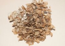 How to Reduce Shedding in Dogs with Smart Tools