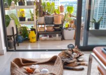 How to Use Smart Homes to Care for Pets in 2025