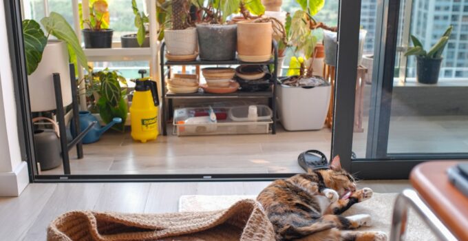 Photo Smart Homes for Pets