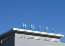 How to Use AI to Choose Pet-Friendly Hotels How to Use AI to Choose Pet-Friendly Hotels