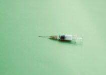 How to Track Pet Vaccinations with AI Apps
