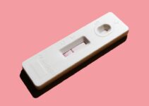 How to Use AI to Track Pet Reproductive Health How to Use AI to Track Pet Reproductive Health