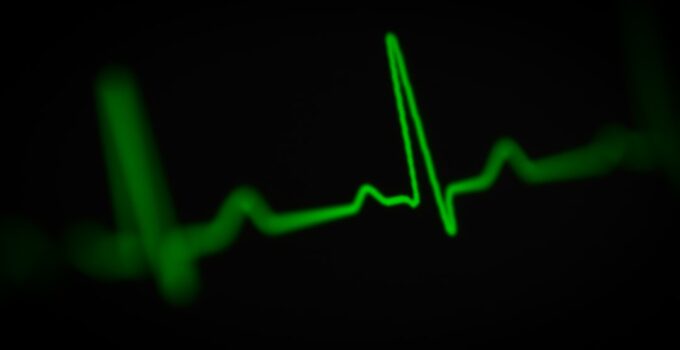 Photo Monitor Pet Heart Rates