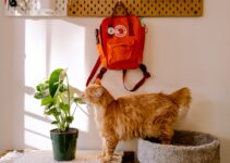 How to Manage Pets with AI Smart Homes in 2025