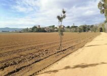 How to Connect Smart Irrigation to WiFi How to Connect Smart Irrigation to WiFi