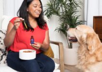 How to Switch Your Dog’s Food Without Upset Stomach How to Switch Your Dog’s Food Without Upset Stomach