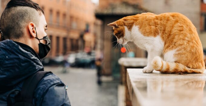Photo Connect Smart Pet Feeder to WiFi