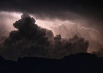 How to Calm an Anxious Dog During Thunderstorms How to Calm an Anxious Dog During Thunderstorms