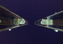How to Enable Screen Mirroring on Samsung