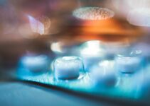 How to Choose Probiotics for Gut Health