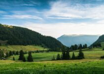 How to Use Trello for Project Management