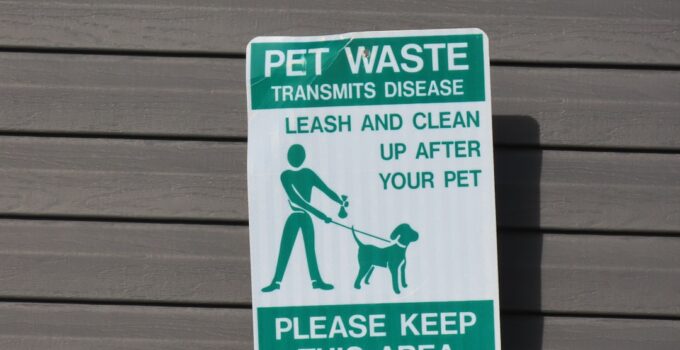 Photo Pet Safety