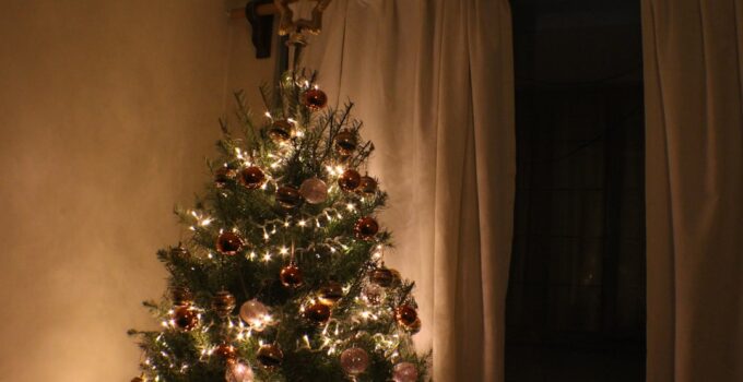 Photo Pet-Friendly Christmas Tree Setup
