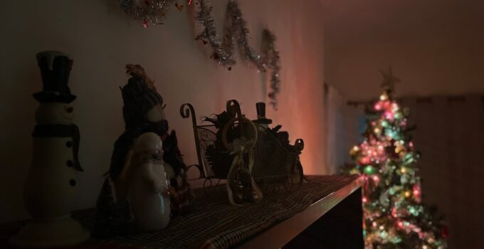 Photo Pet-Friendly Christmas Tree Setup