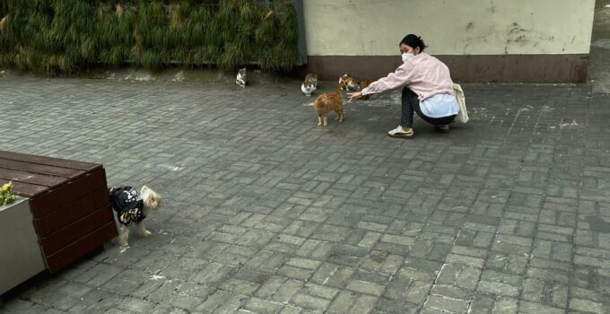 Photo Reliable Pet Sitter