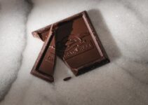 How to Recognize Signs of Chocolate Poisoning in Dogs