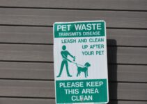 How to Board Your Pet at a Kennel During Christmas Travel How to Board Your Pet at a Kennel During Christmas Travel