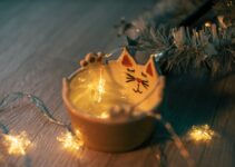 How to Prevent Your Pet from Eating Christmas Food Scraps