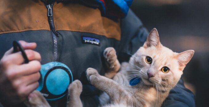 Photo Pet Emergency Kit